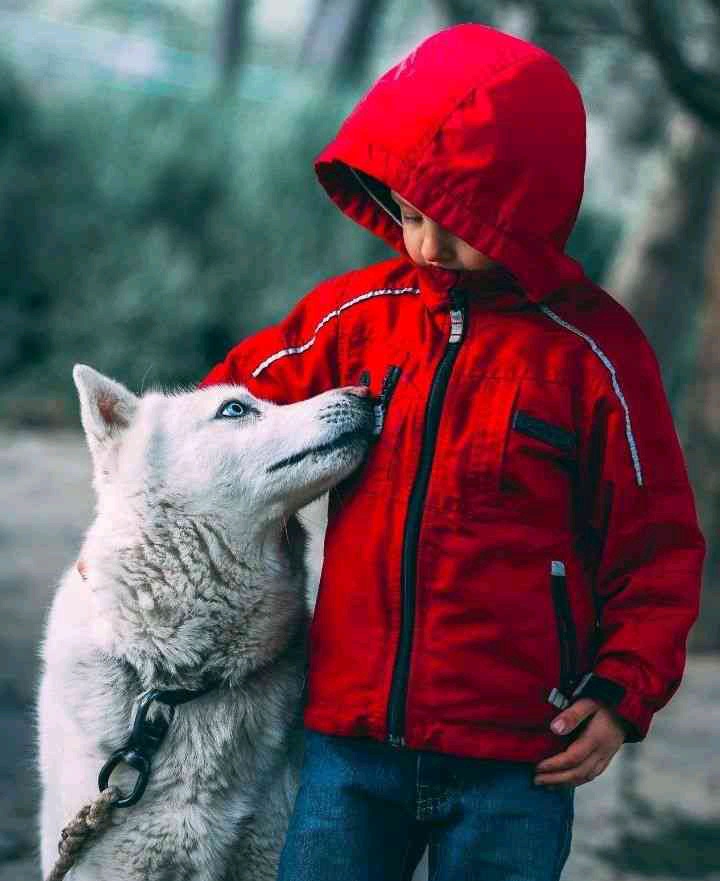 Thrusher (thrushre.lens) Lens social identity (.lens handle) PFP