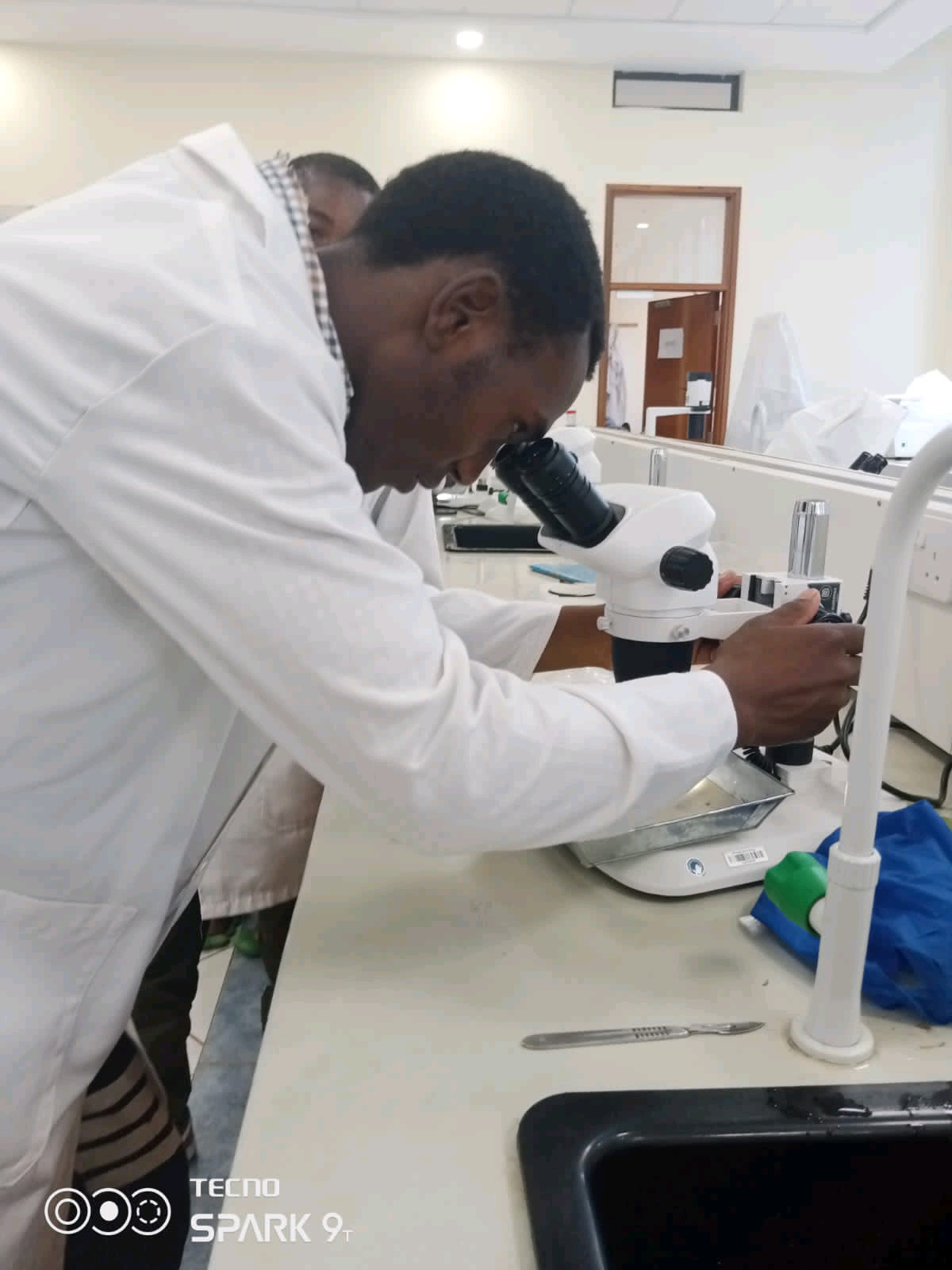 Lodilozi (lodi6.lens) Lens social identity (.lens handle) PFP