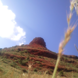 雏玲 (tchalamet.lens) Lens social identity (.lens handle) PFP