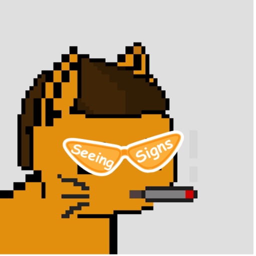 zaqimo (zaqimo.lens) Lens social identity (.lens handle) PFP