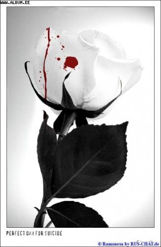 Jeremy (midumpar.lens) Lens social identity (.lens handle) PFP