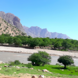 曼尼之秀 (themanniishow.lens) Lens social identity (.lens handle) PFP