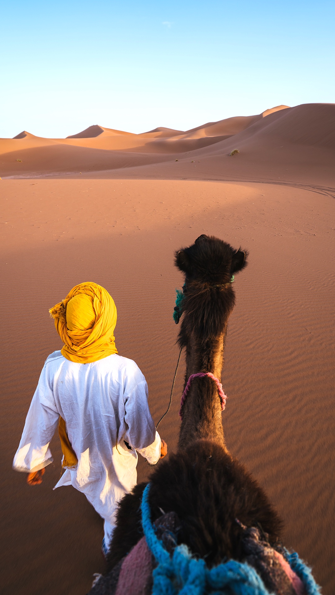 Shamkhan (karginov.lens) Lens social identity (.lens handle) PFP