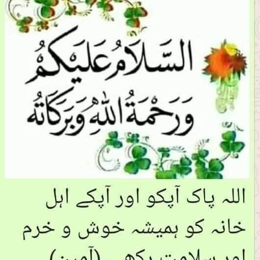 Sohail riaz (sohail4282004.lens) Lens social identity (.lens handle) PFP