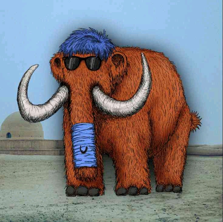 hunny (arslanejaz33.lens) Lens social identity (.lens handle) PFP