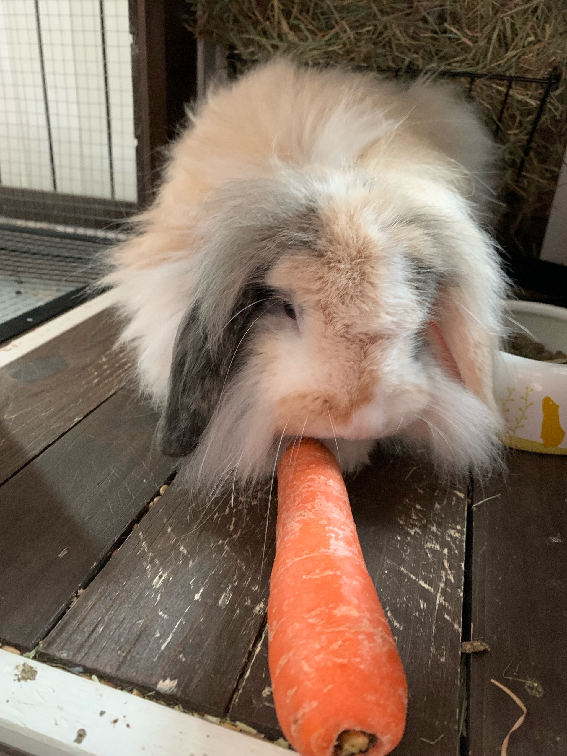 Stef M (stefm.lens) Lens social identity (.lens handle) PFP