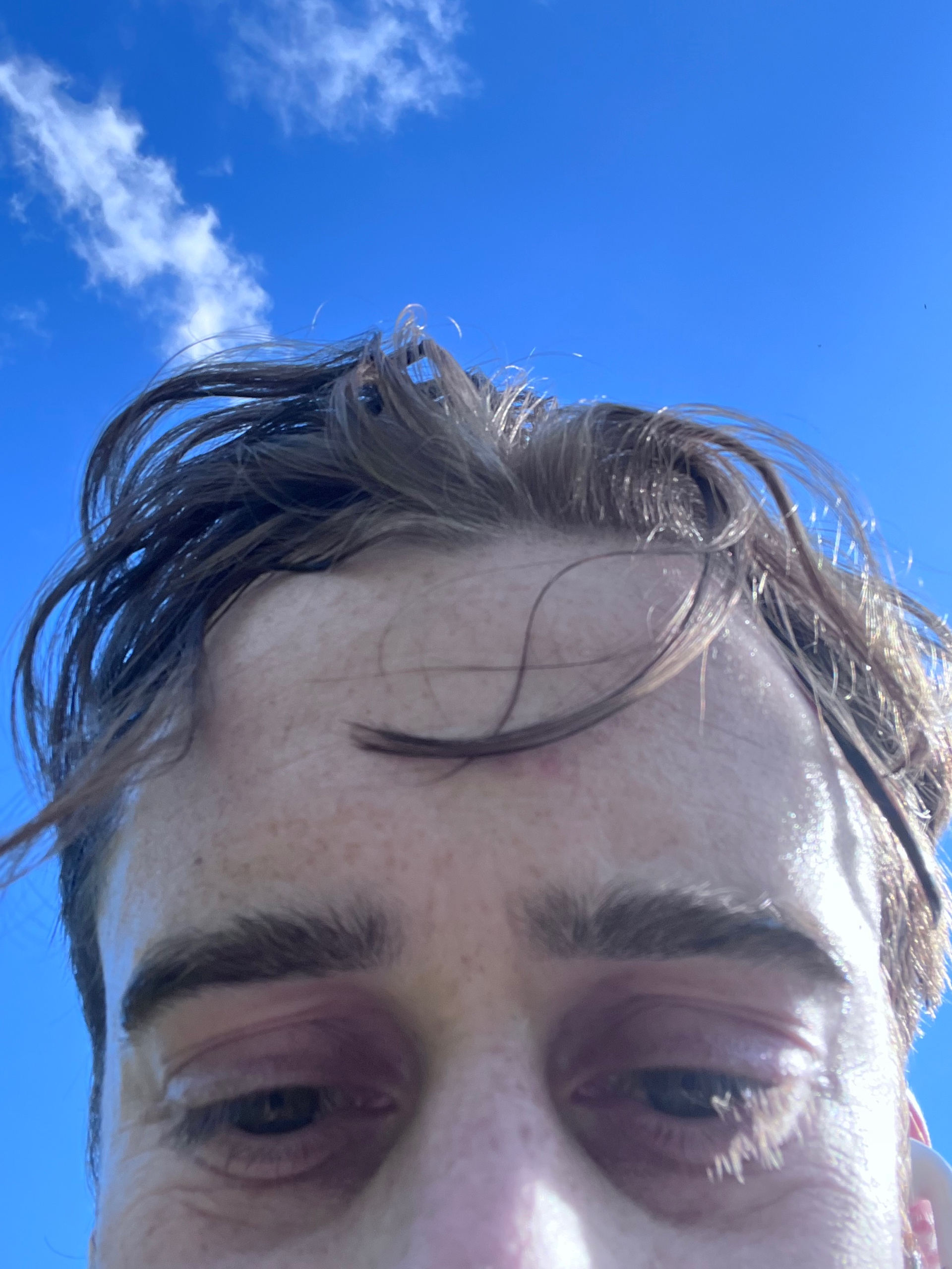 Stevie Gleason (steviegleason.lens) Lens social identity (.lens handle) PFP