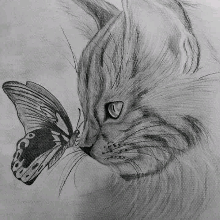 Eth2882 (cipro70.lens) Lens social identity (.lens handle) PFP