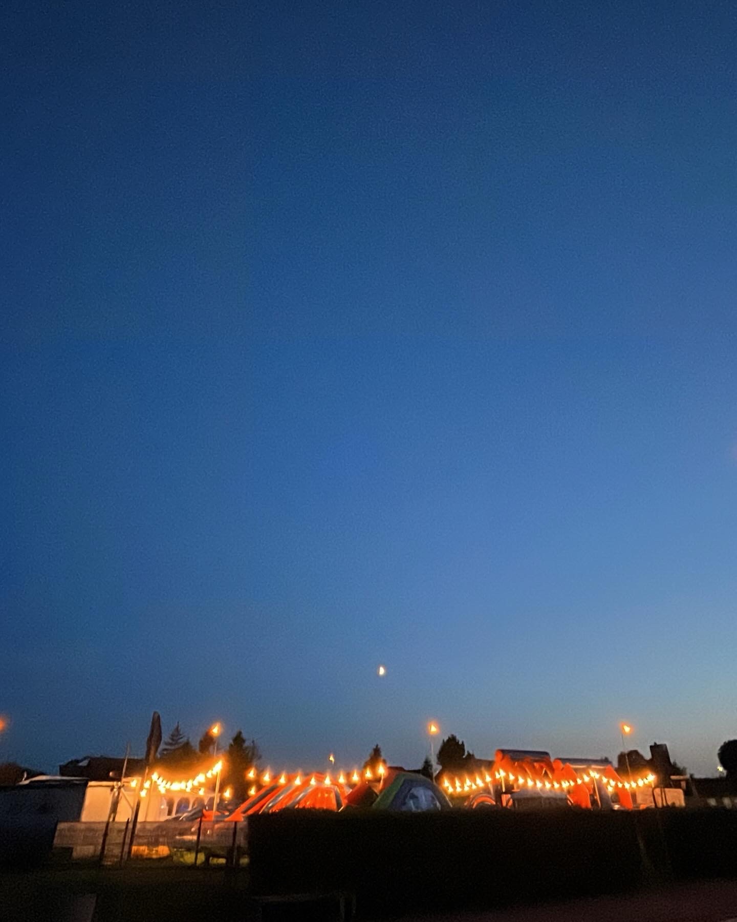 Flyxii (flyxii.lens) Lens social identity (.lens handle) PFP