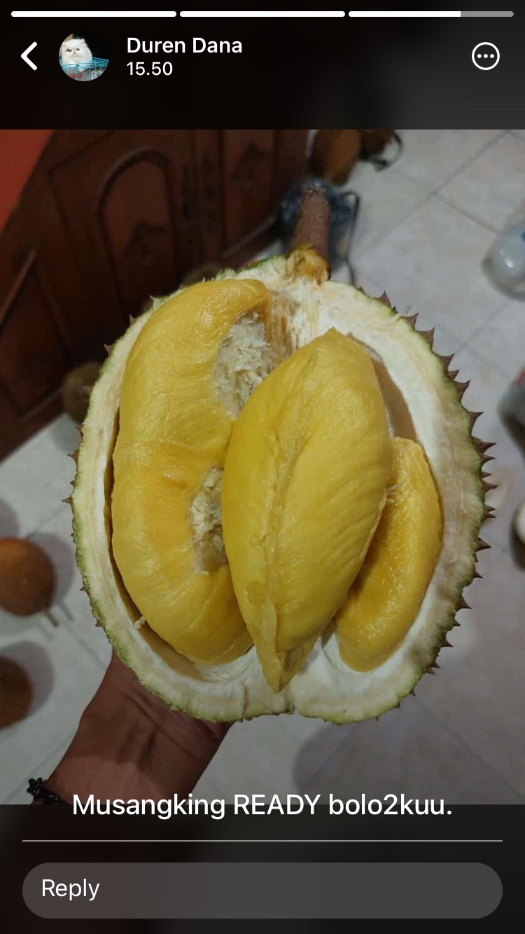 dhany (dhany.lens) Lens social identity (.lens handle) PFP