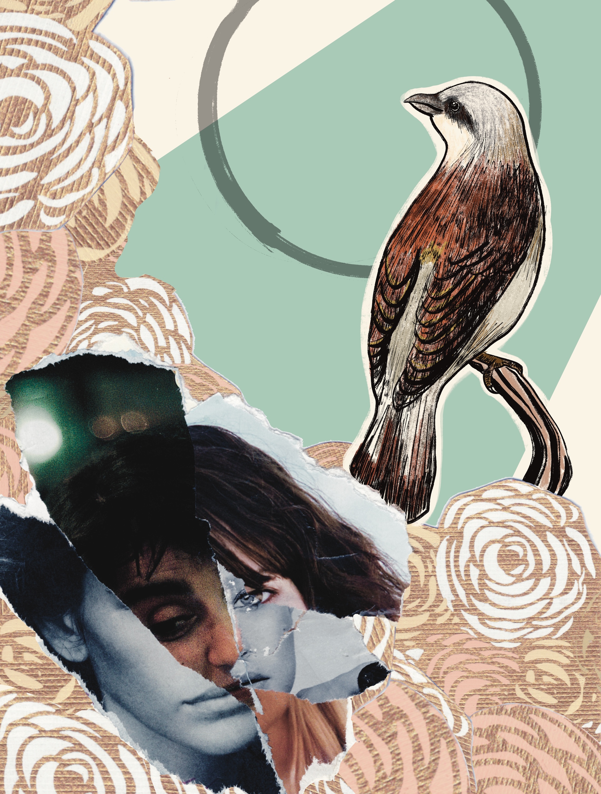 Barclay (barclaysparrow.lens) Lens social identity (.lens handle) PFP