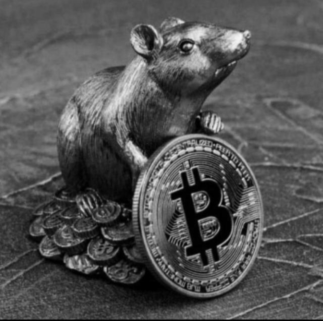 retro (retob.lens) Lens social identity (.lens handle) PFP