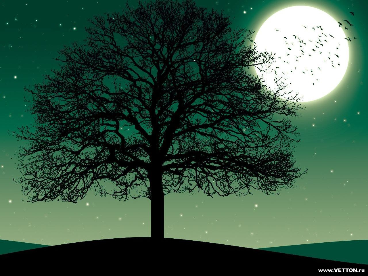 popnrock.lens Lens social identity (.lens handle) PFP