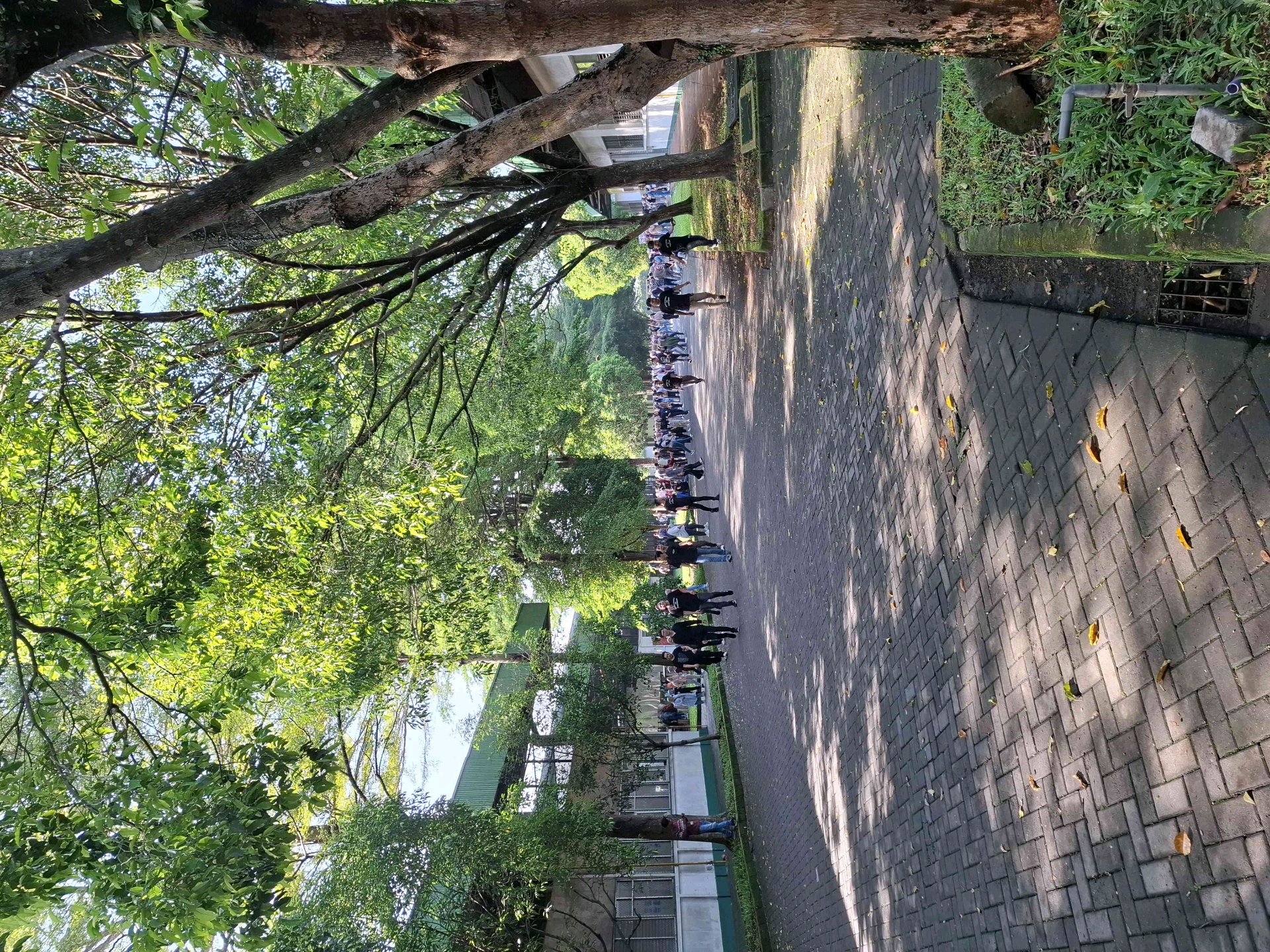 nadira (yanihungkulcoy.lens) Lens social identity (.lens handle) PFP