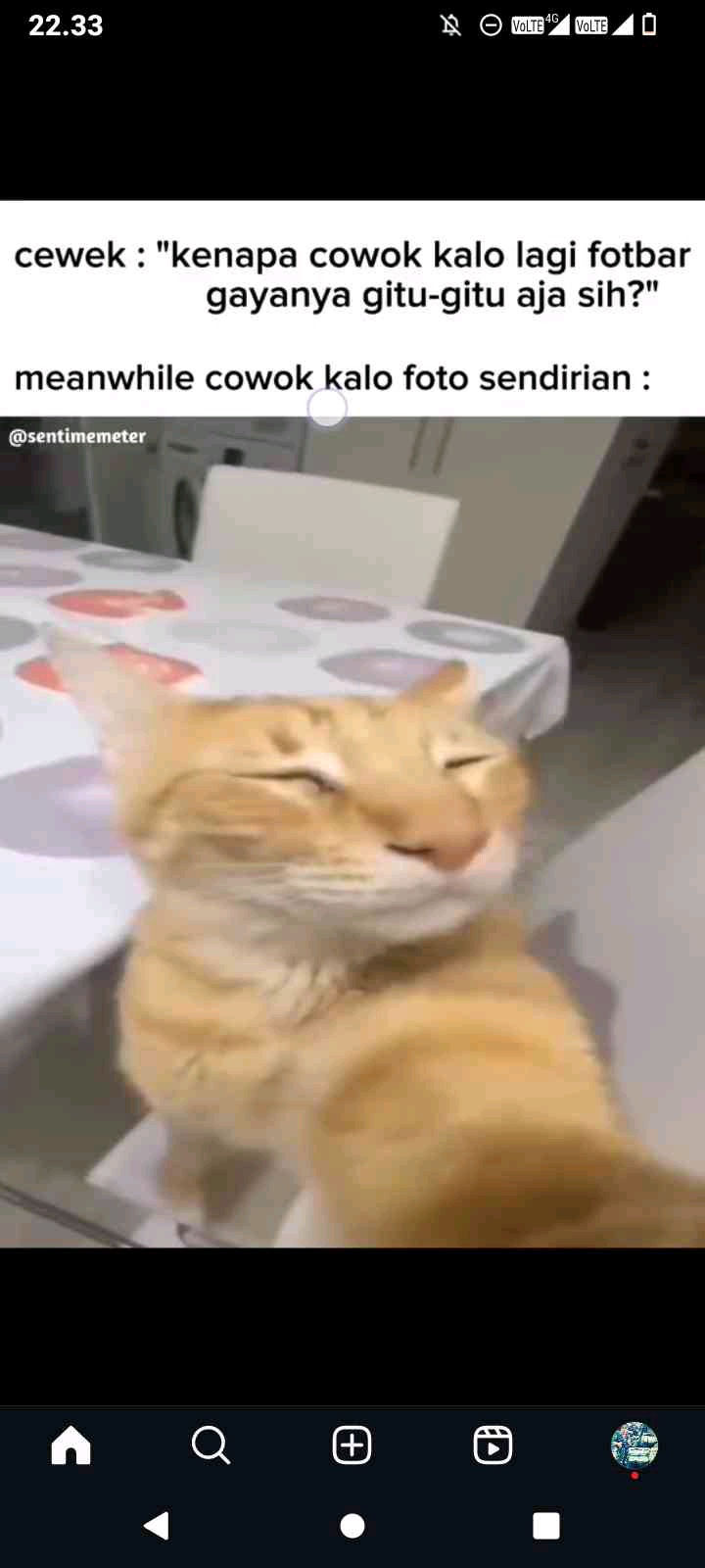 Zecxi (zakkimubarok.lens) Lens social identity (.lens handle) PFP