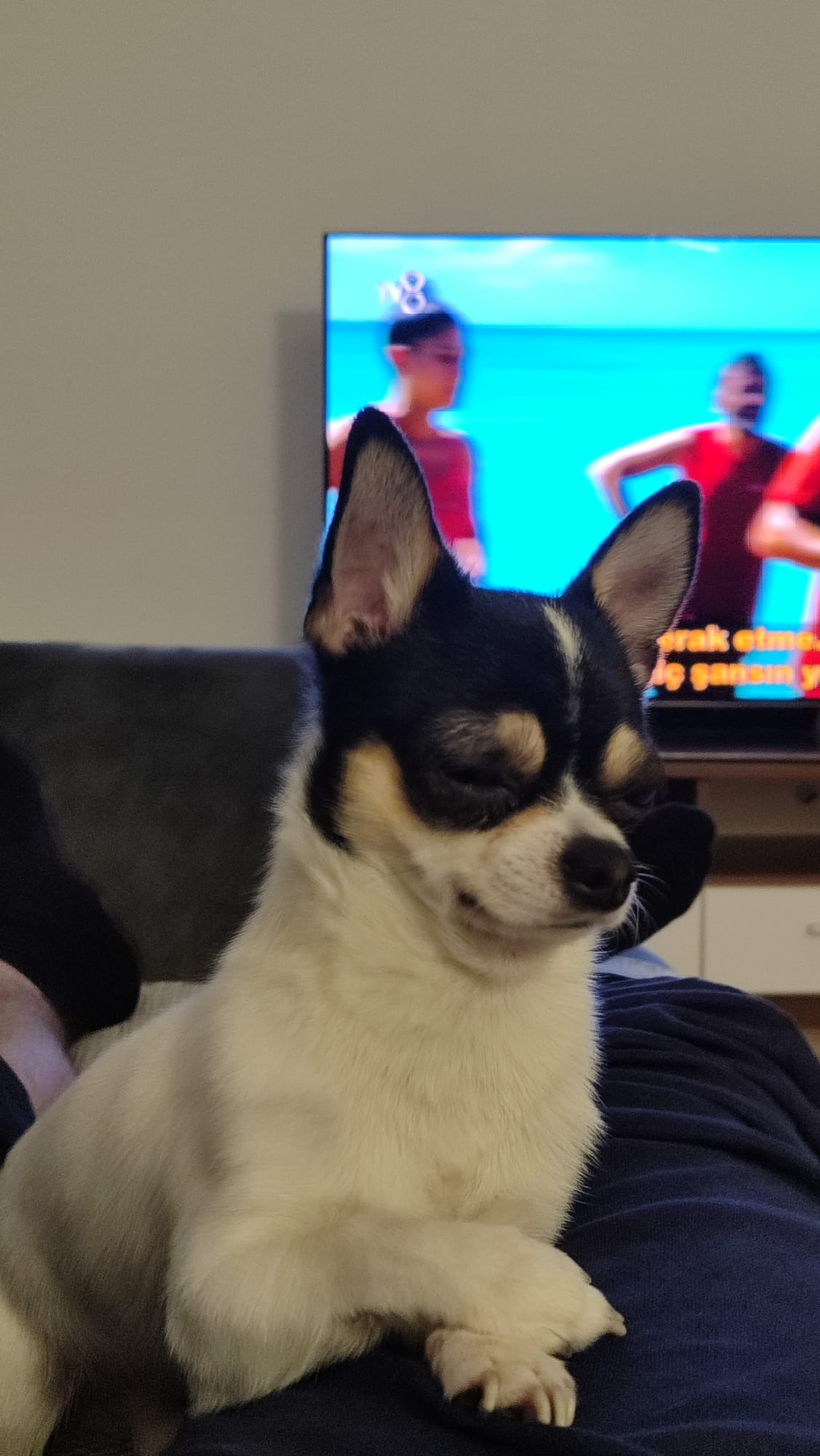 kinte.lens Lens social identity (.lens handle) PFP