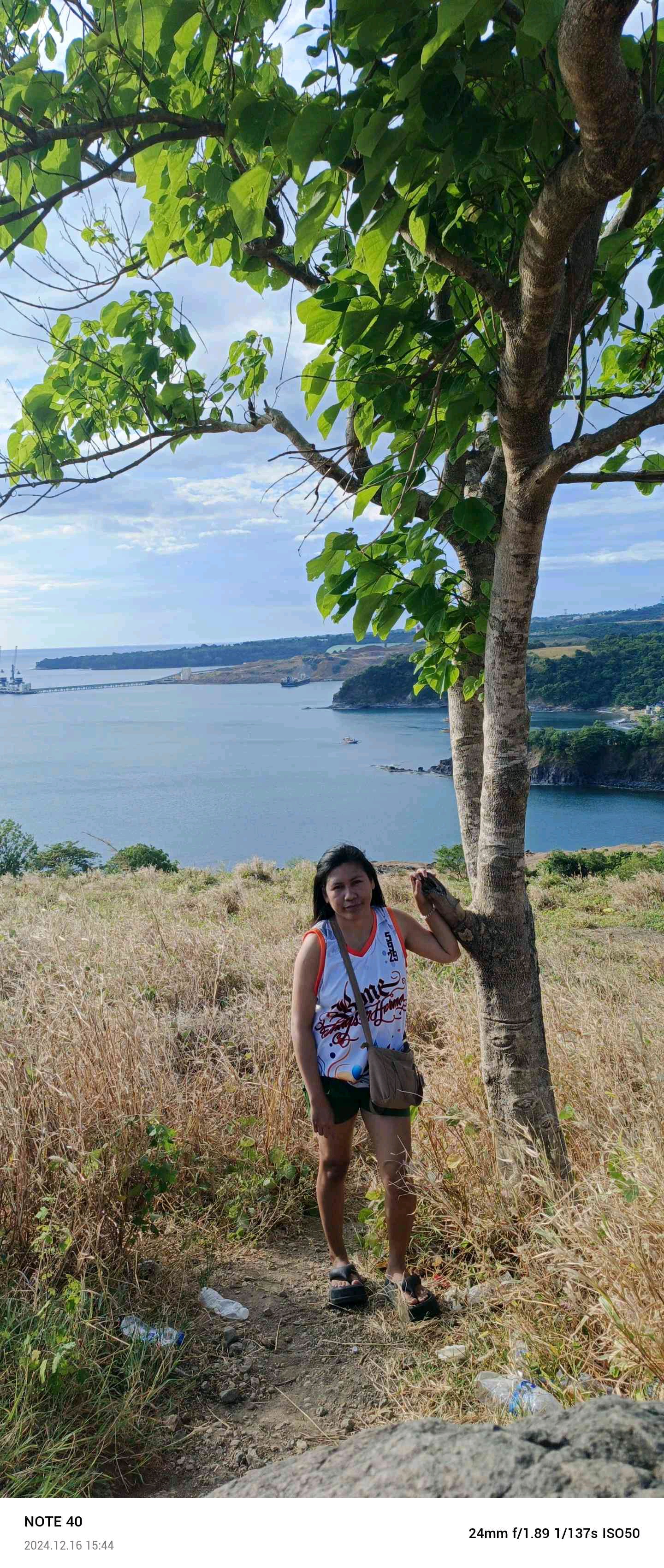 pickle248 (pickle248.lens) Lens social identity (.lens handle) PFP