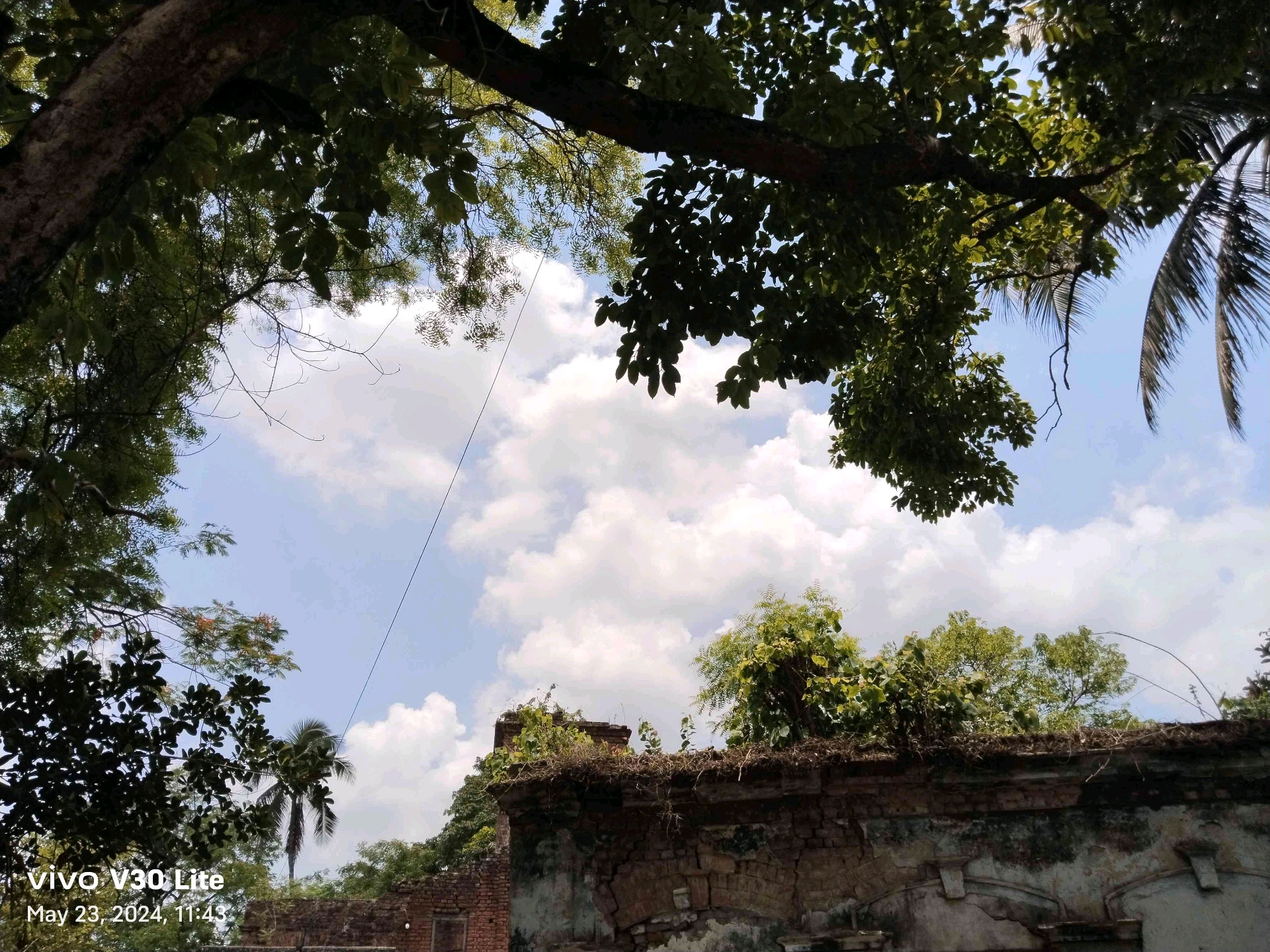 acua hansa (ffggcuy.lens) Lens social identity (.lens handle) PFP