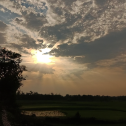 Comeconmirar (eatwith.lens) Lens social identity (.lens handle) PFP