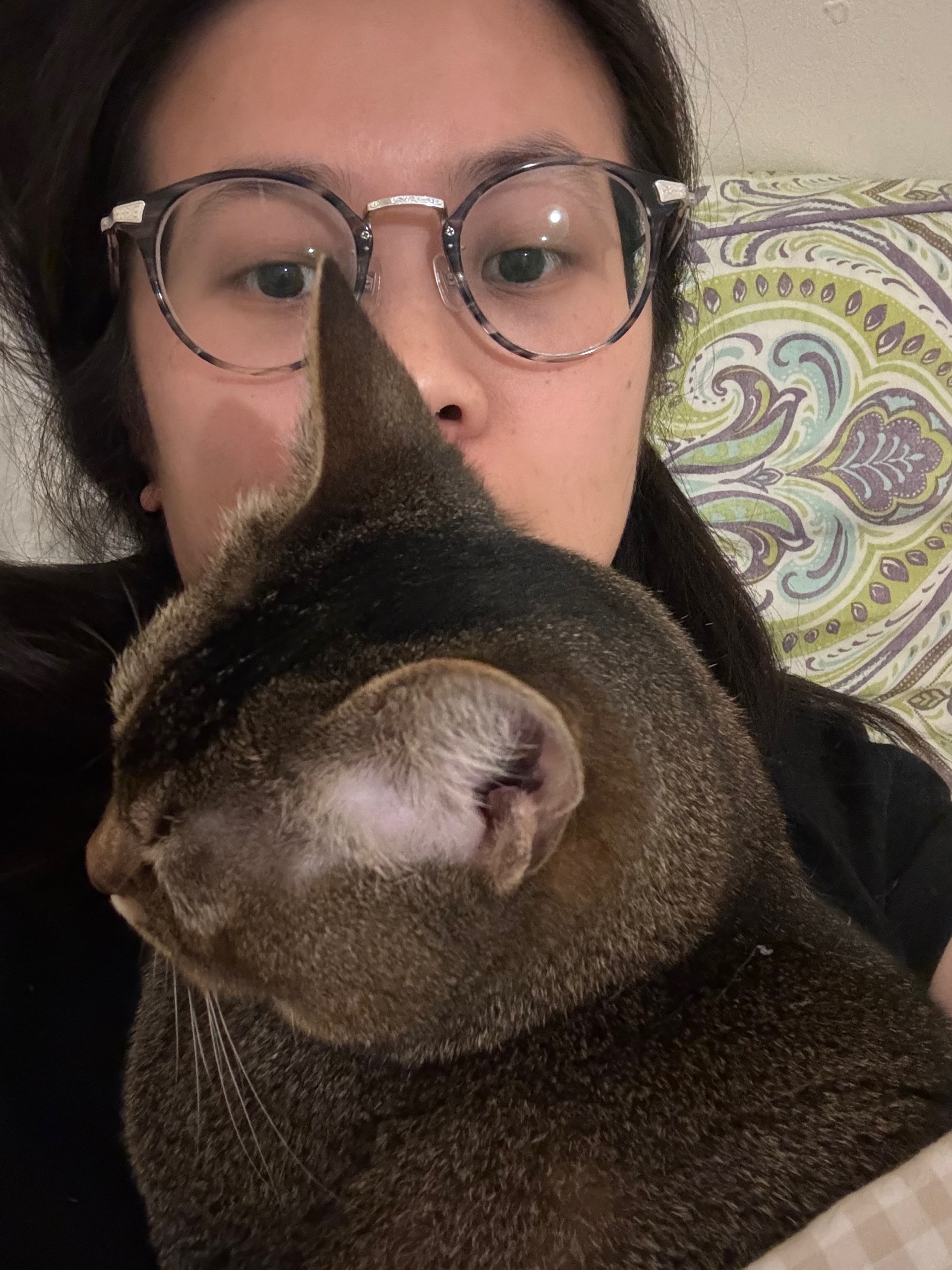 Nat C (nistelki.lens) Lens social identity (.lens handle) PFP