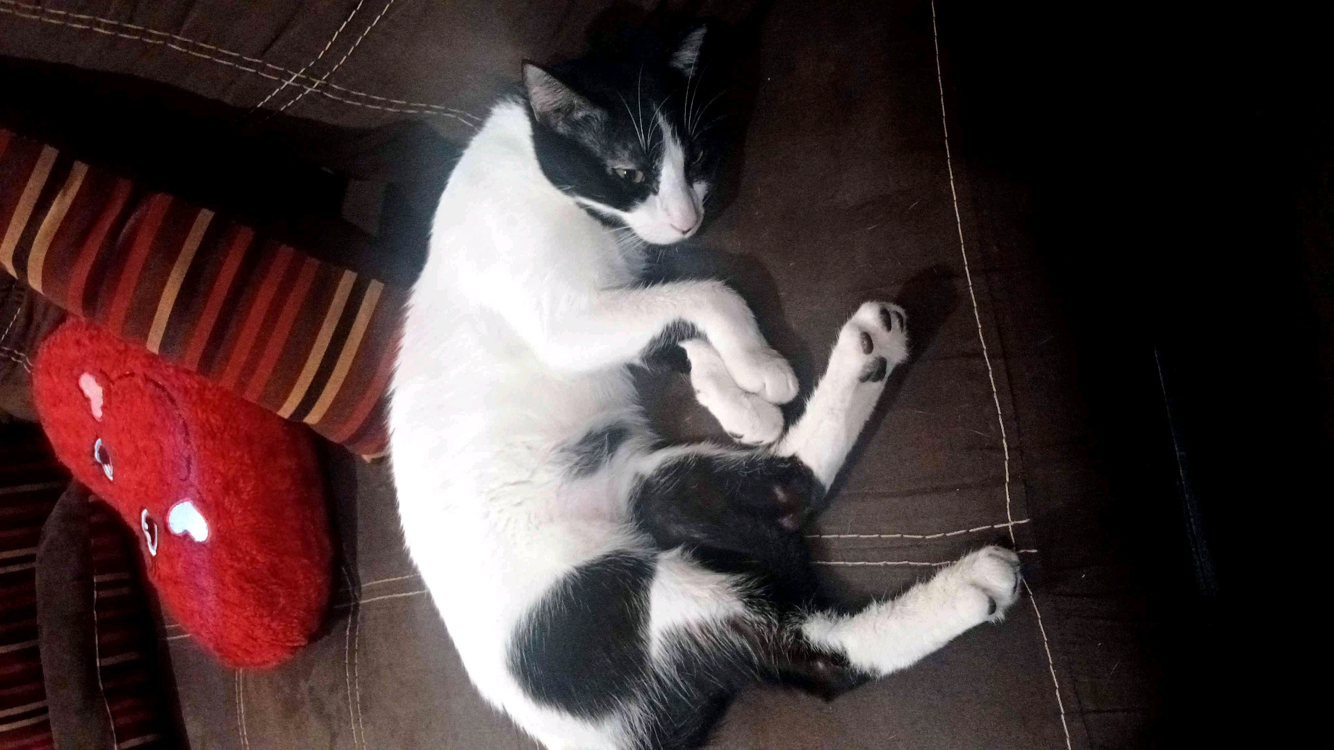 Stromkarl (stromkarl.lens) Lens social identity (.lens handle) PFP