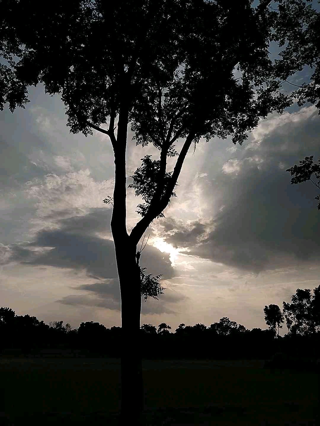 balato7 (yoyoe.lens) Lens social identity (.lens handle) PFP