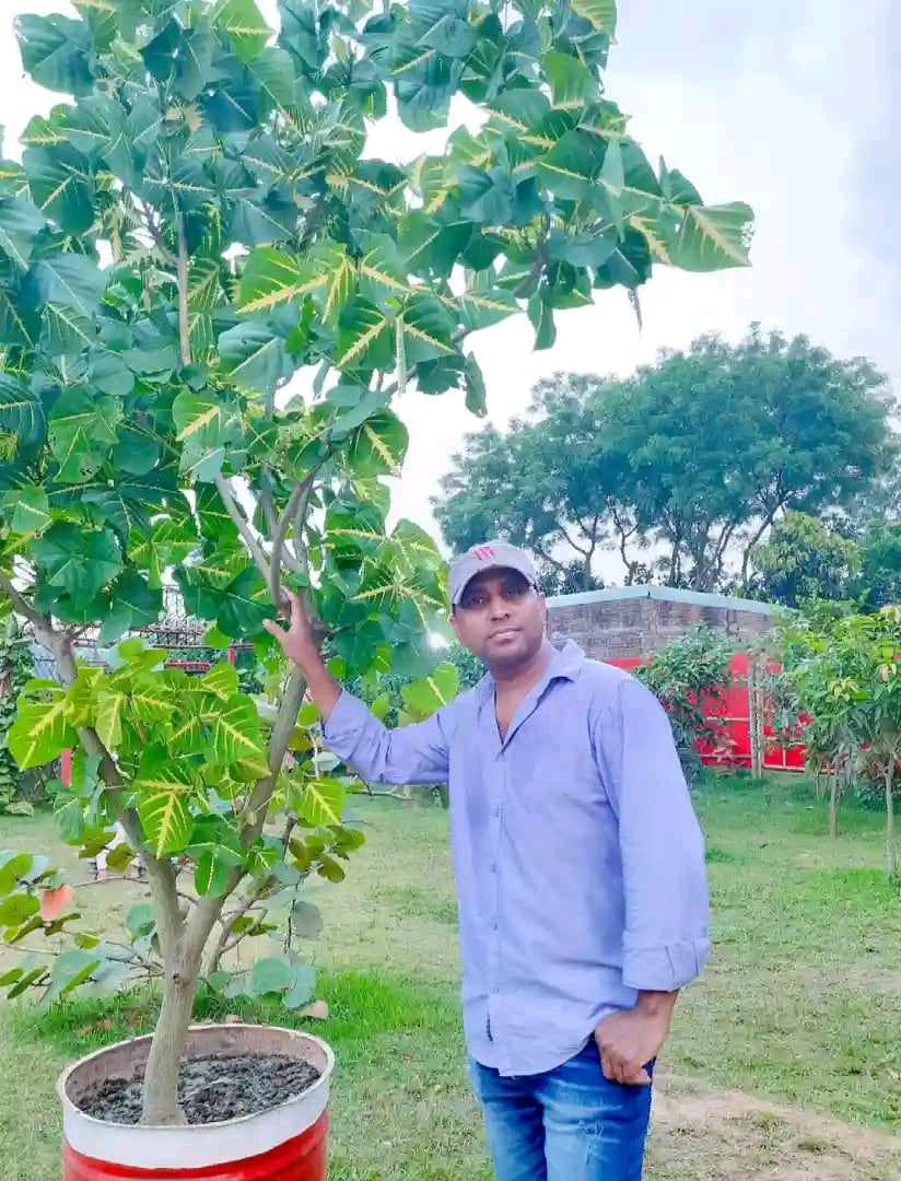 baburaj (baburaj.lens) Lens social identity (.lens handle) PFP