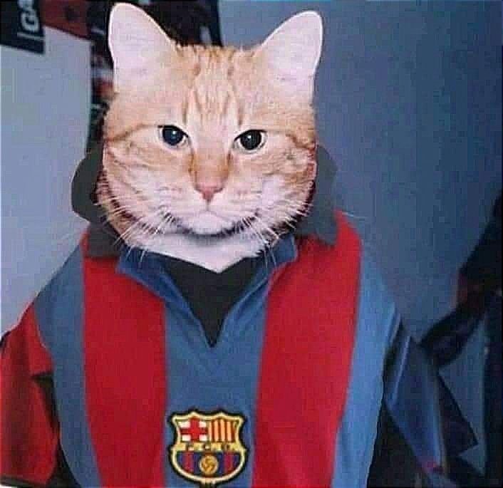 mankaran.lens Lens social identity (.lens handle) PFP