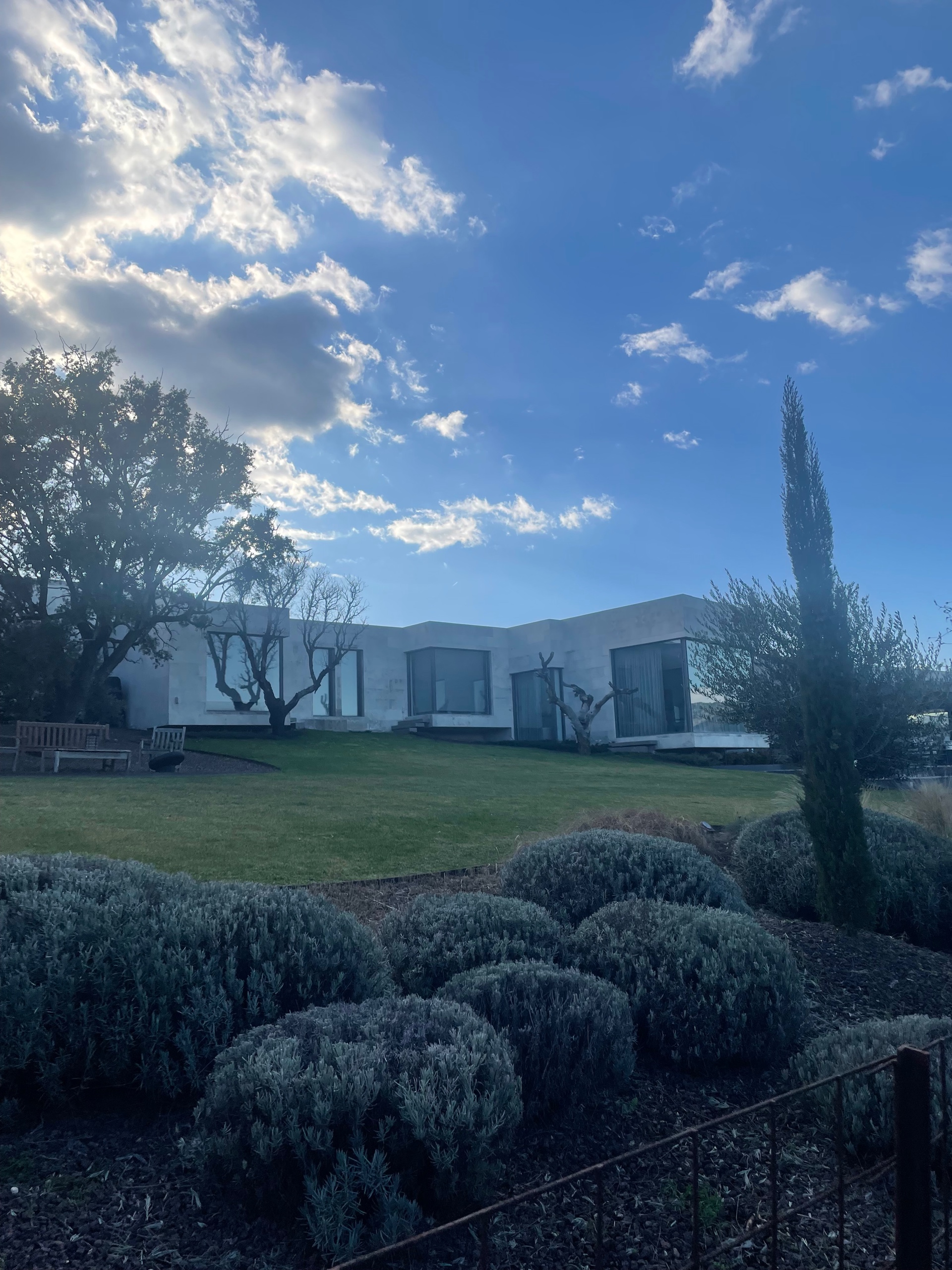 Nacho (nachog.lens) Lens social identity (.lens handle) PFP