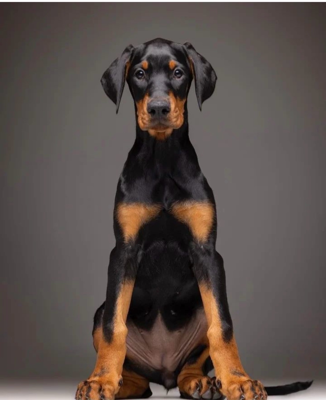 kimmi (kimmilafe.lens) Lens social identity (.lens handle) PFP