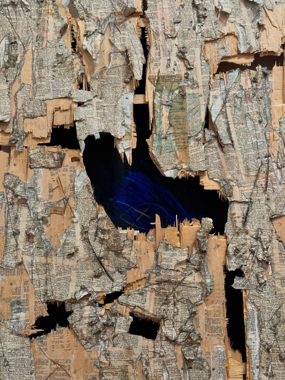 Vigori (viktorriagg.lens) Lens social identity (.lens handle) PFP