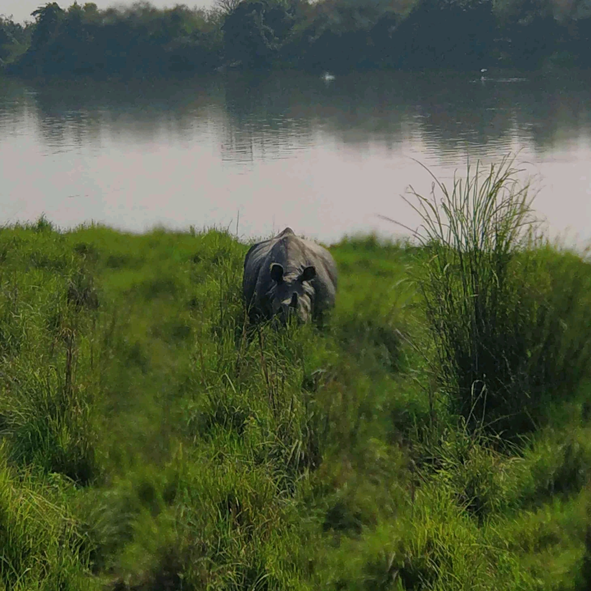 Dhrupad (mephentis.lens) Lens social identity (.lens handle) PFP