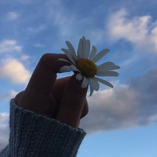 MK (mkardev.lens) Lens social identity (.lens handle) PFP