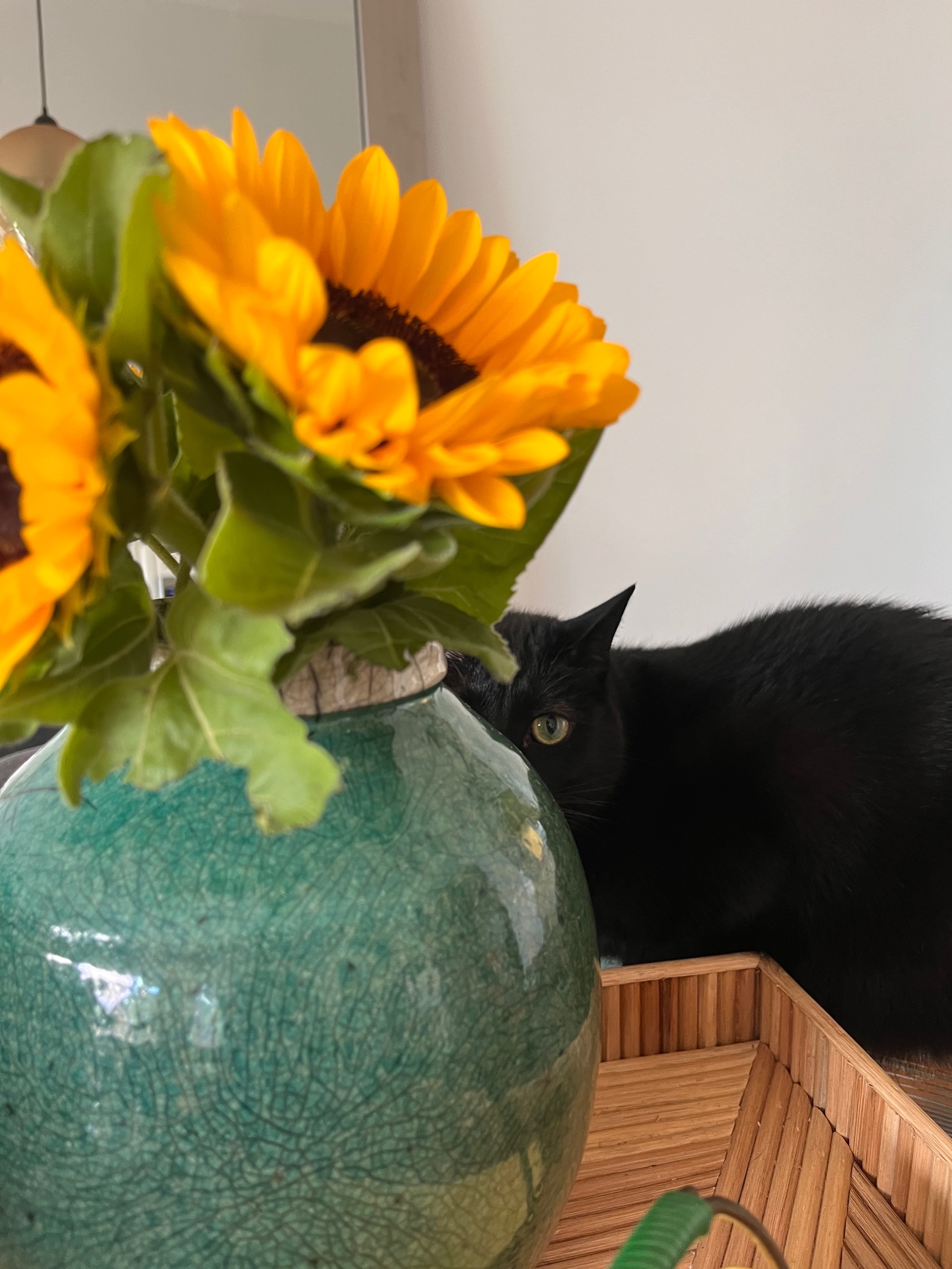 arelyvil (arelyvil.lens) Lens social identity (.lens handle) PFP