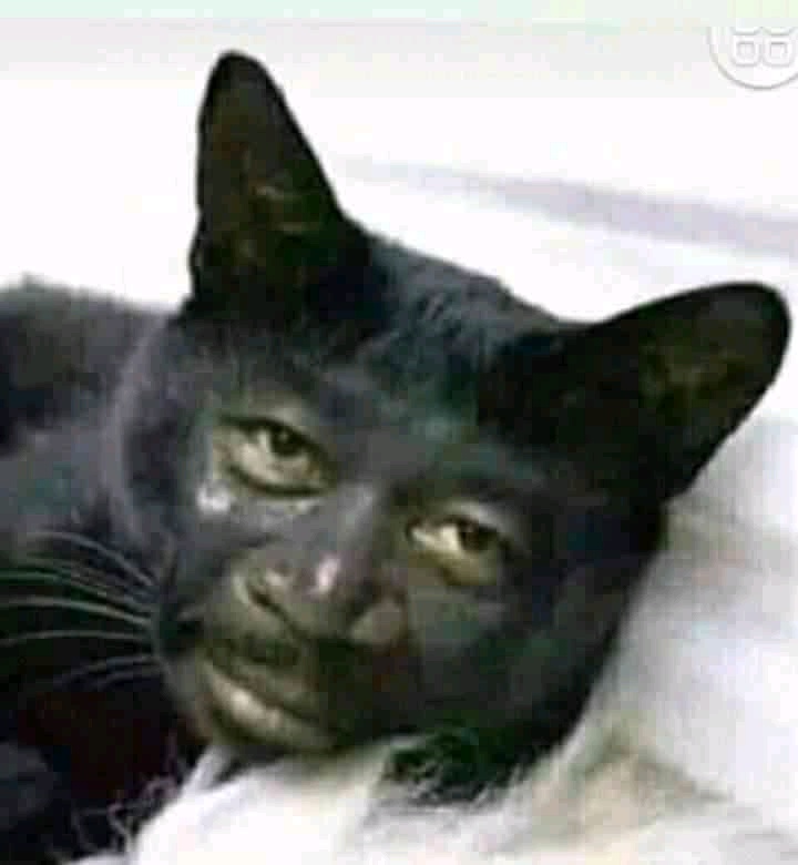 irvan (irvanngrh.lens) Lens social identity (.lens handle) PFP