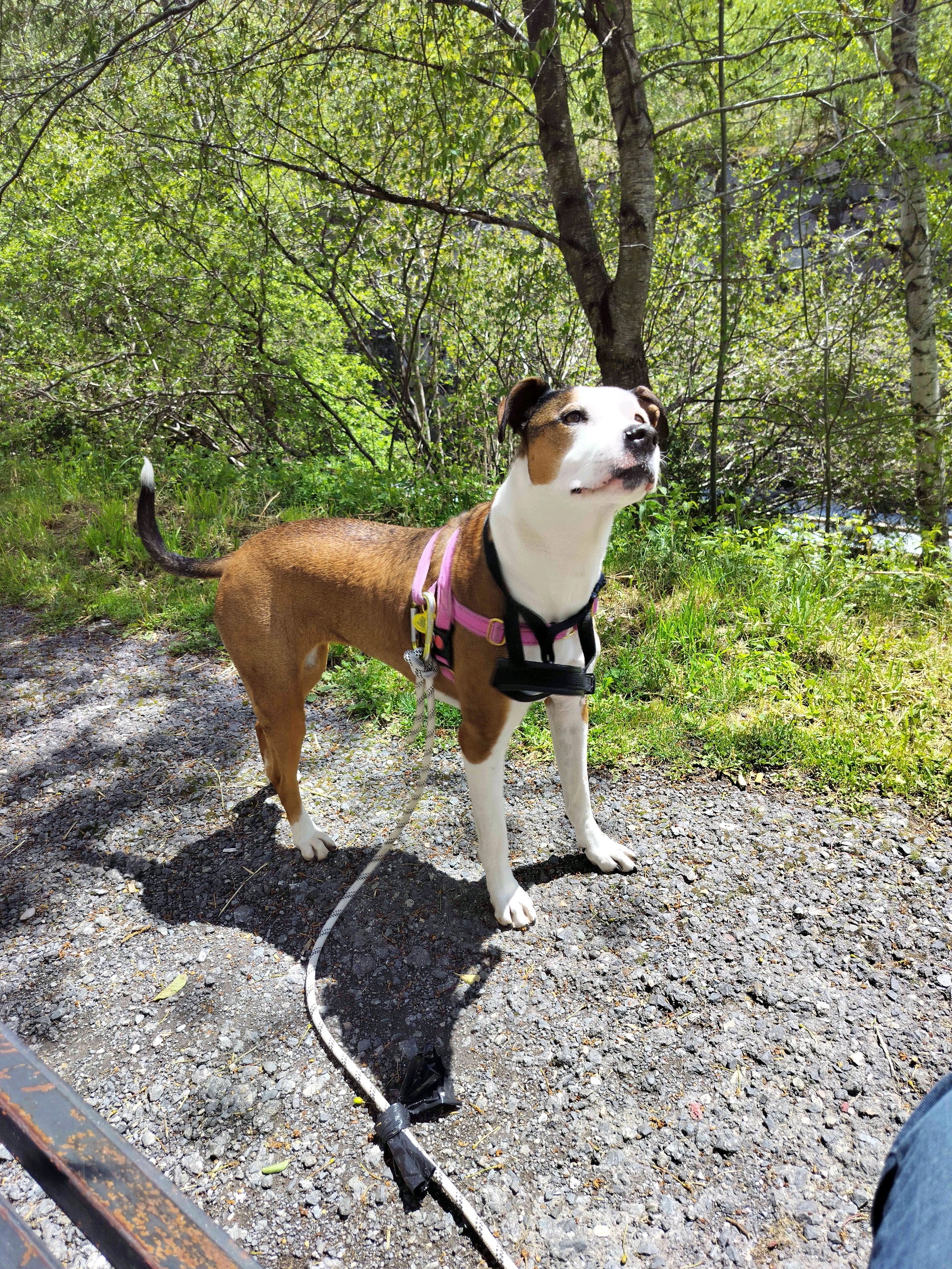 Jose Hung (josehung.lens) Lens social identity (.lens handle) PFP