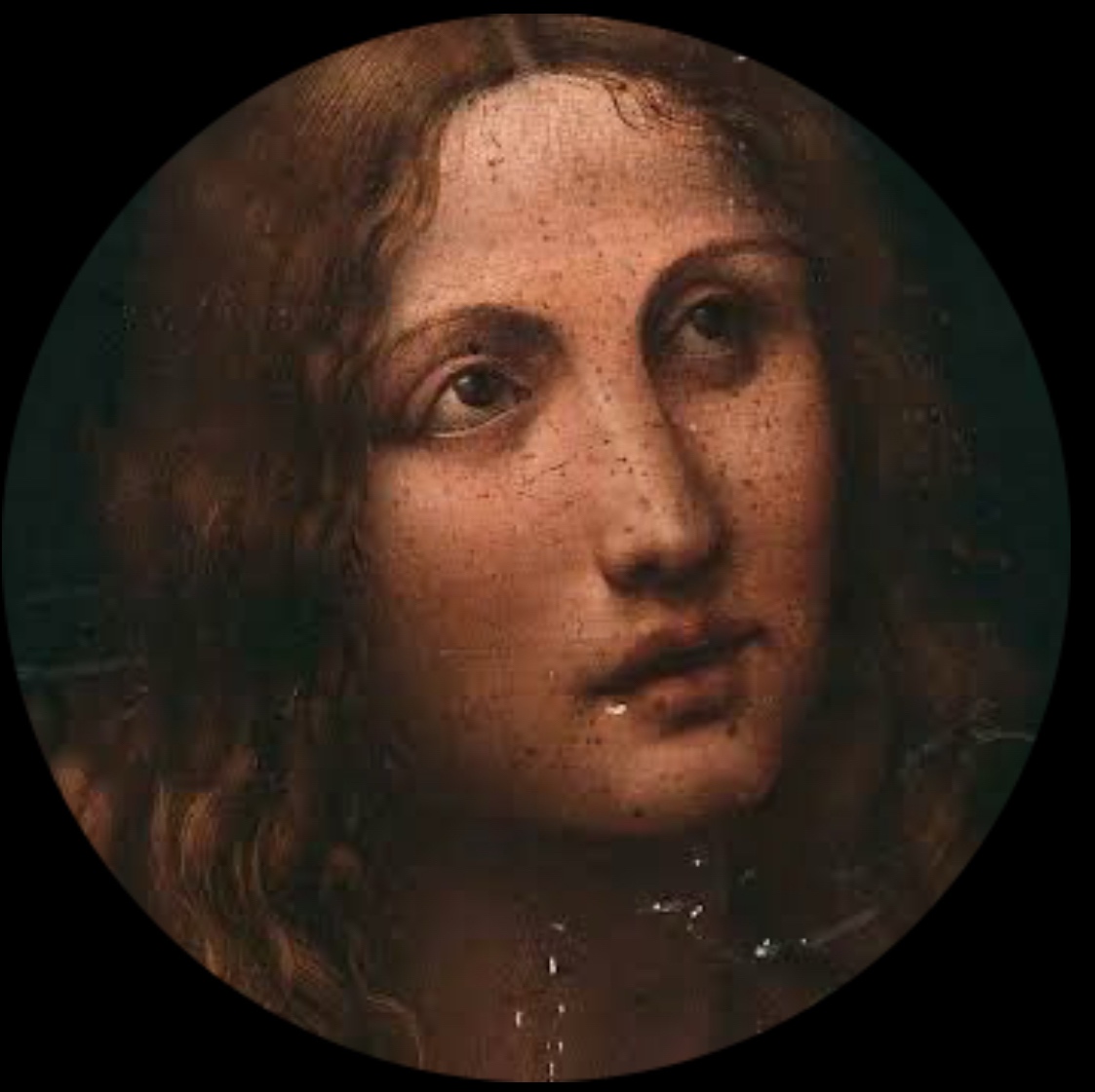 Amy (amyporterfield.lens) Lens social identity (.lens handle) PFP