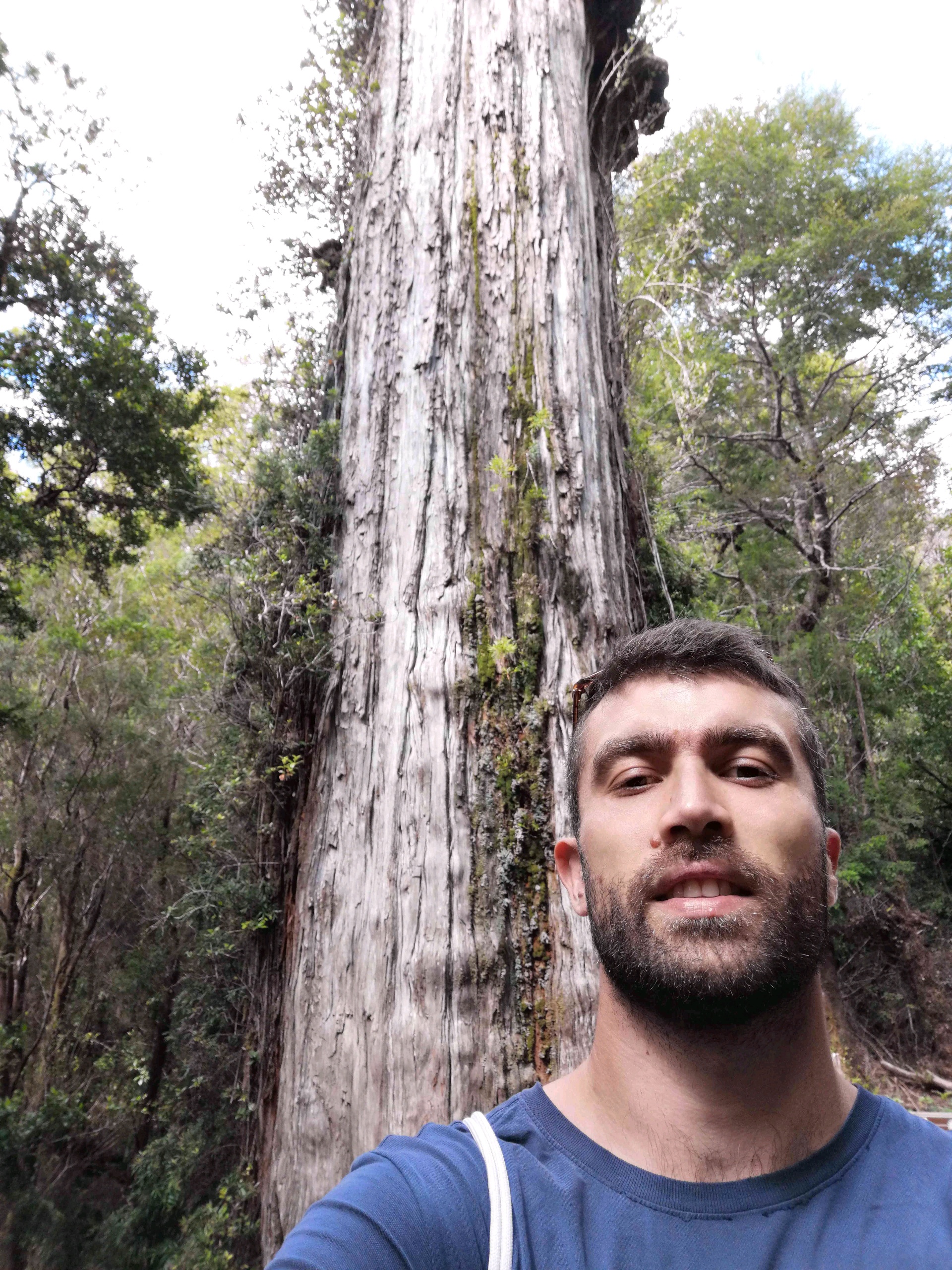 Smiljan Goic (smiljan89.lens) Lens social identity (.lens handle) PFP