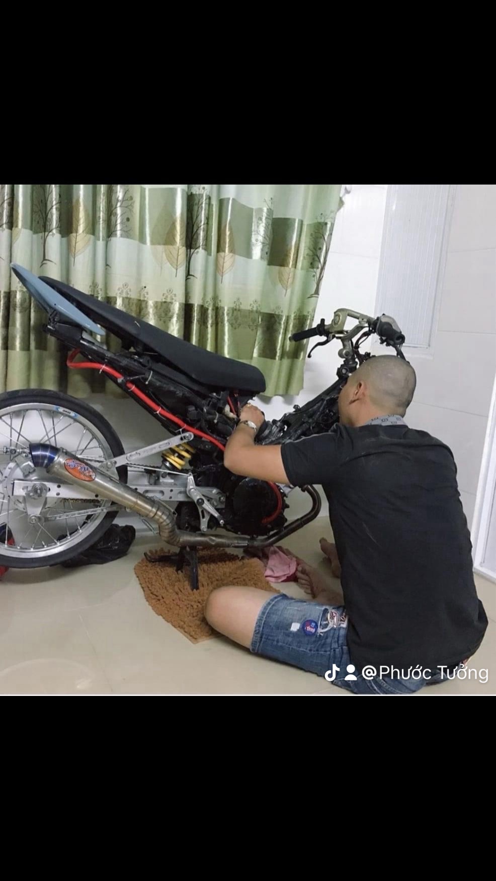 TuongkKa (tuong.lens) Lens social identity (.lens handle) PFP