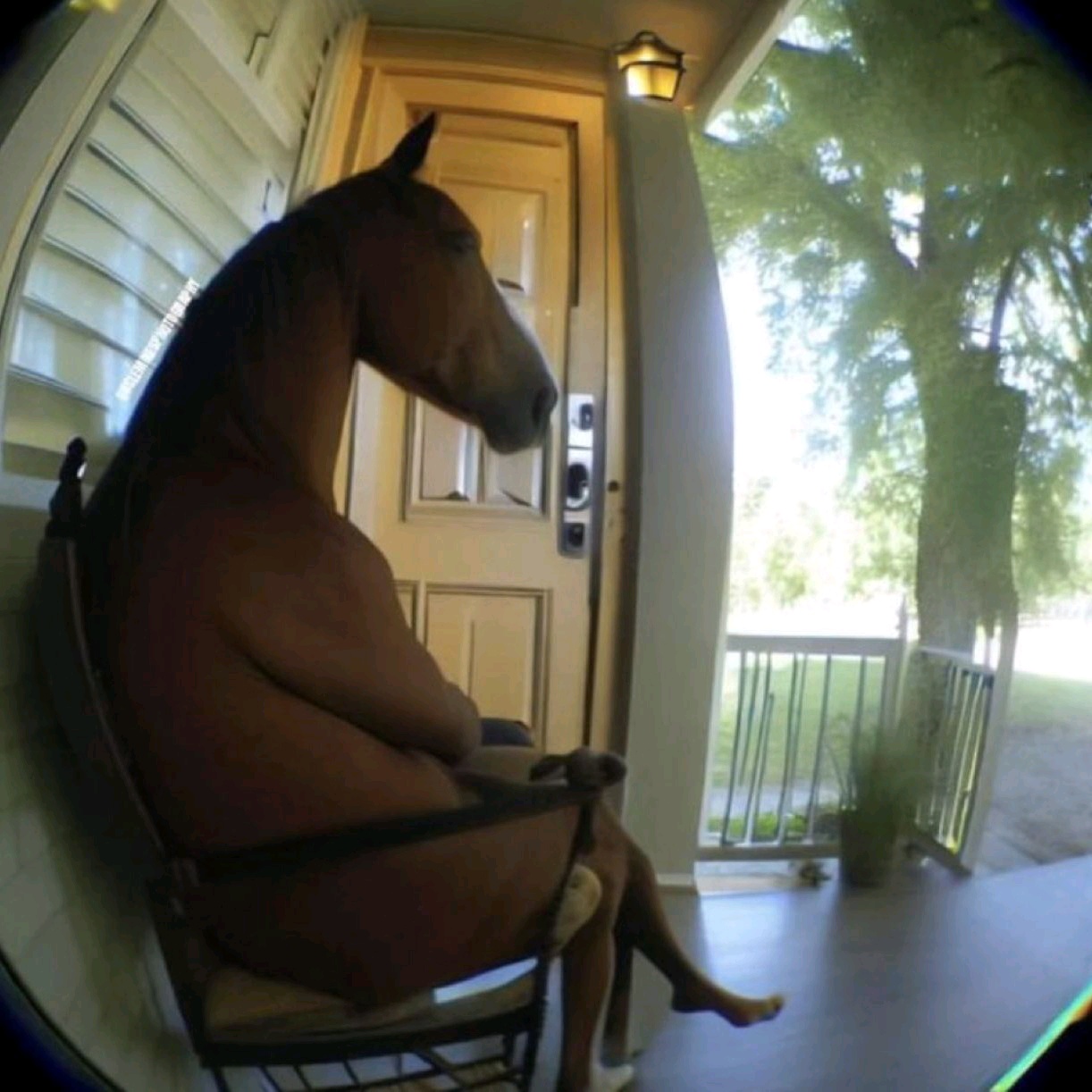 firefly-account-banner