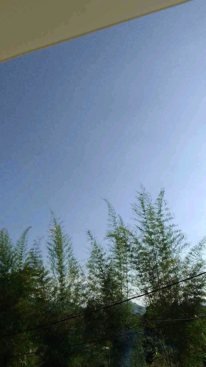 foreignAnomaly (achmadd.lens) Lens social identity (.lens handle) PFP