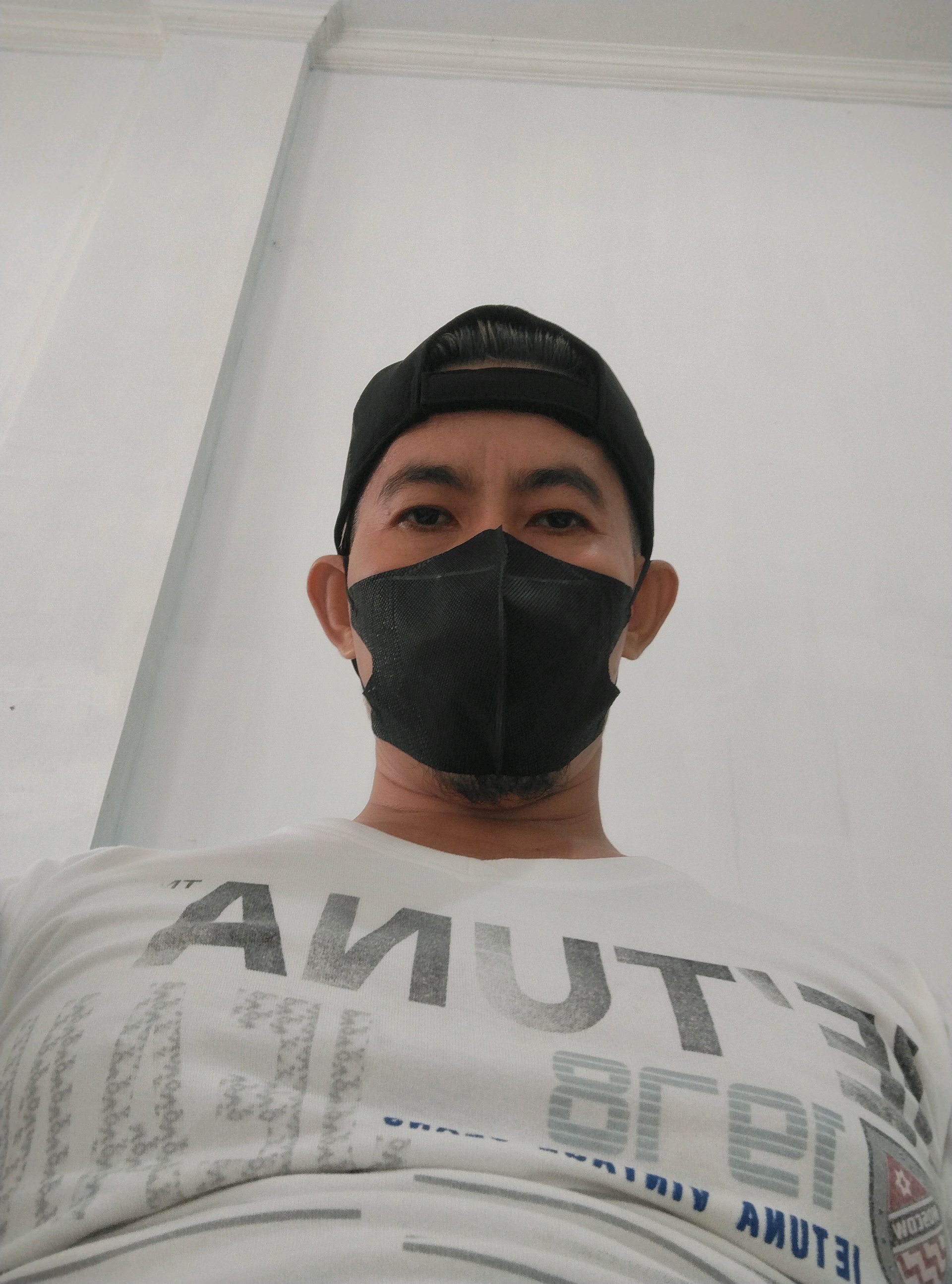 nikphaver (nikplok.lens) Lens social identity (.lens handle) PFP