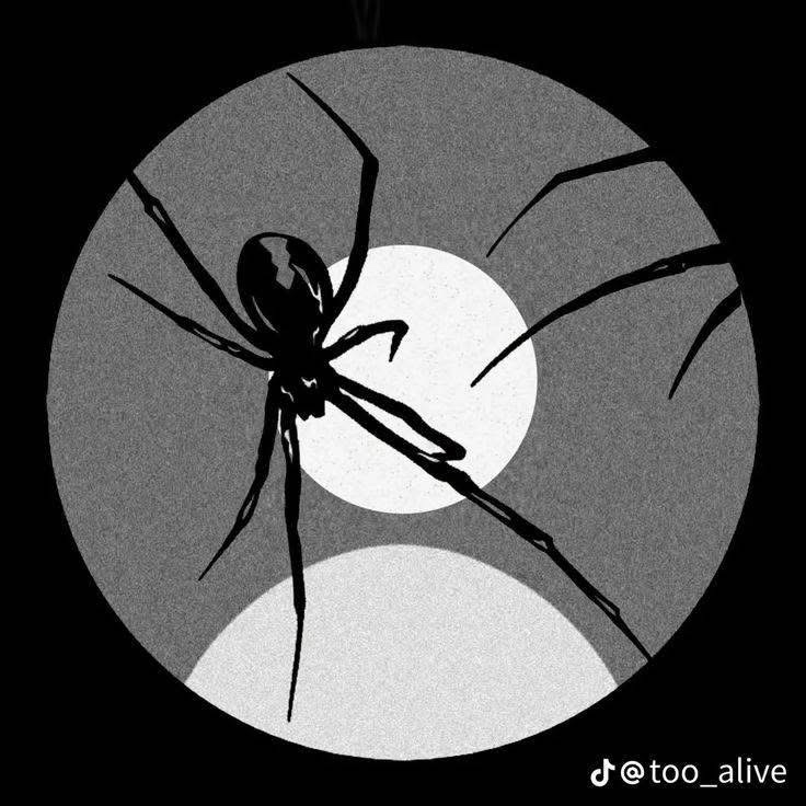 bowlvelow (smaul.lens) Lens social identity (.lens handle) PFP