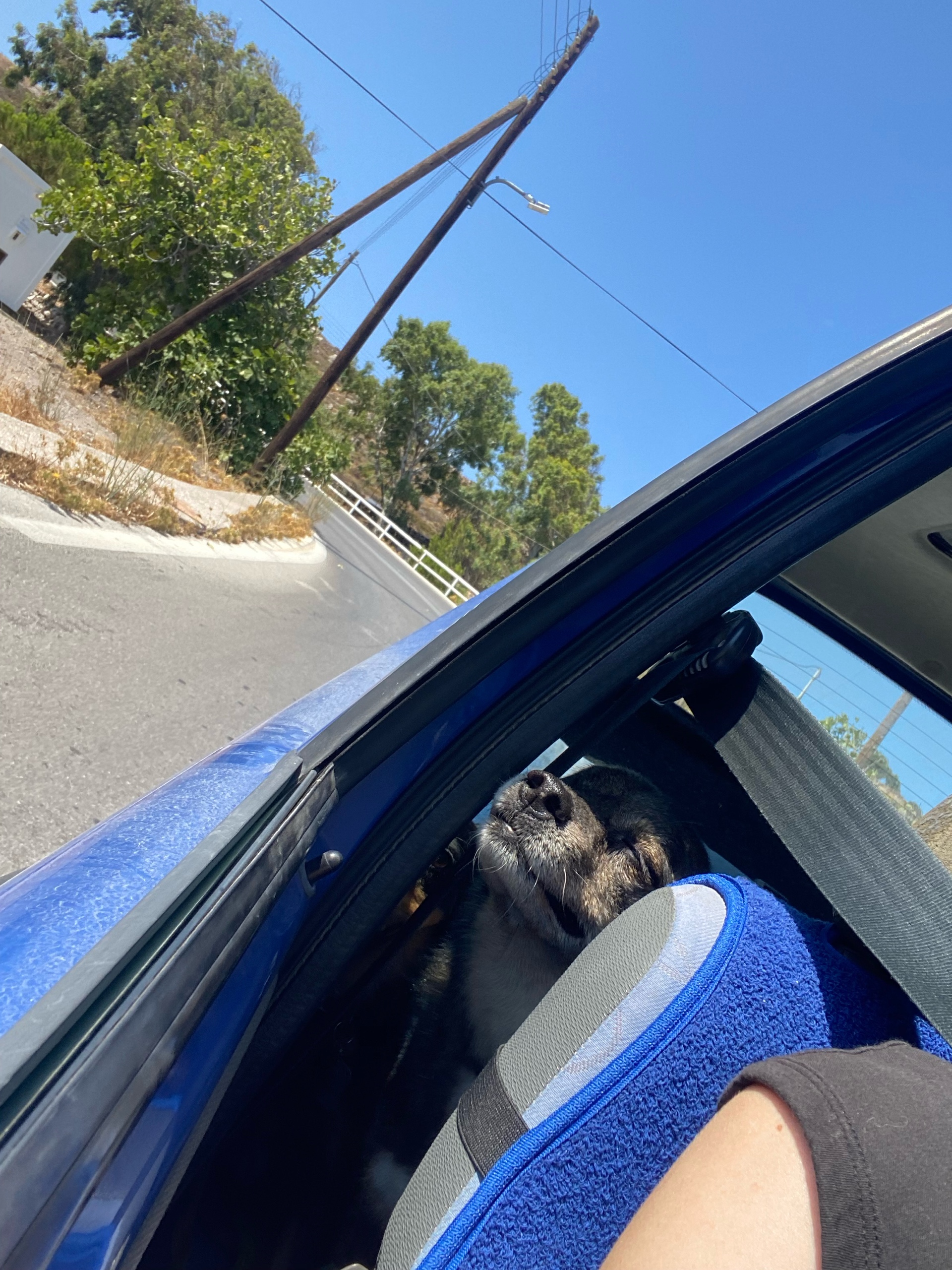 lexielexie (lxcm8.lens) Lens social identity (.lens handle) PFP