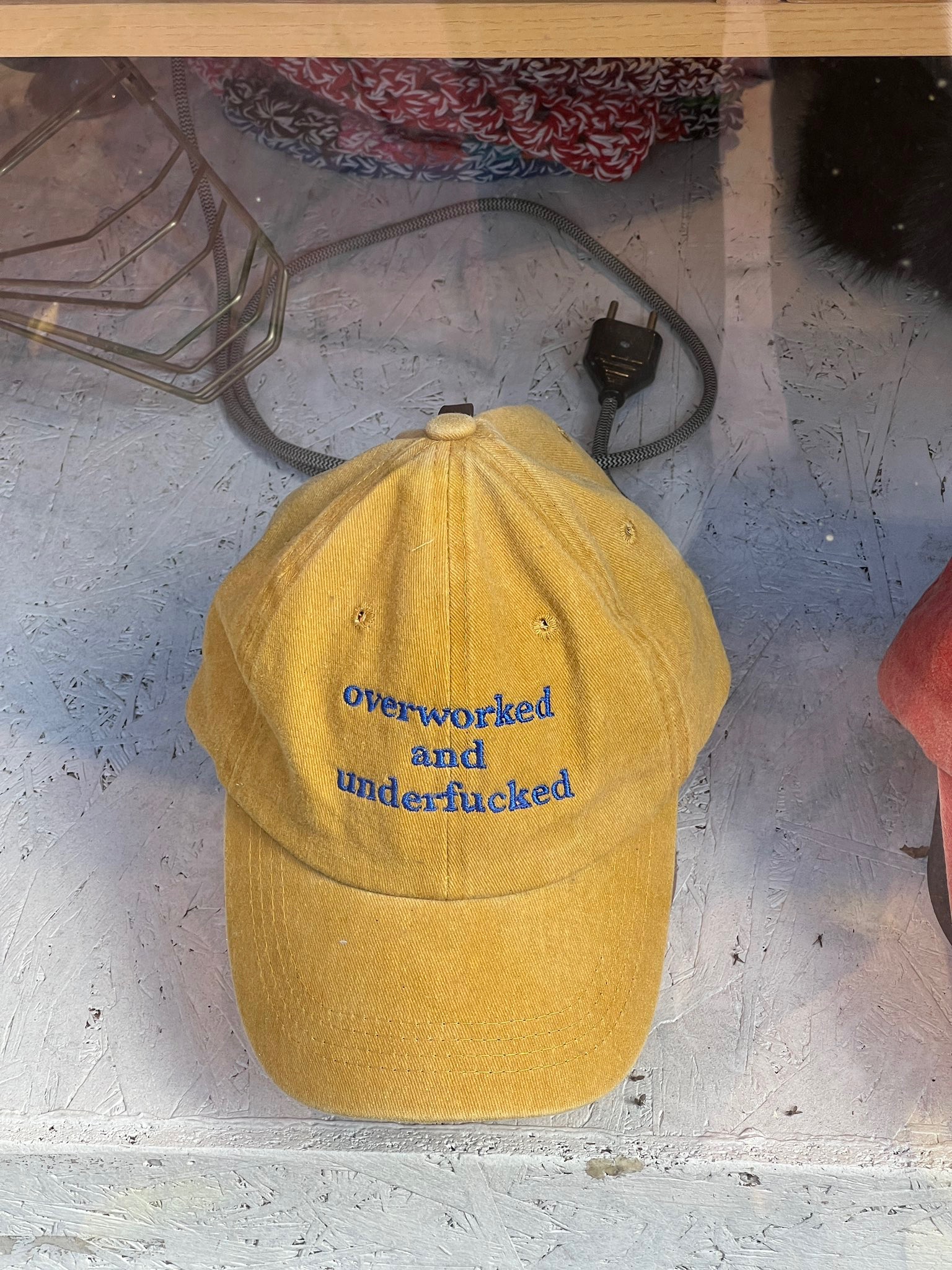 Alexintosh (alexintosh.lens) Lens social identity (.lens handle) PFP