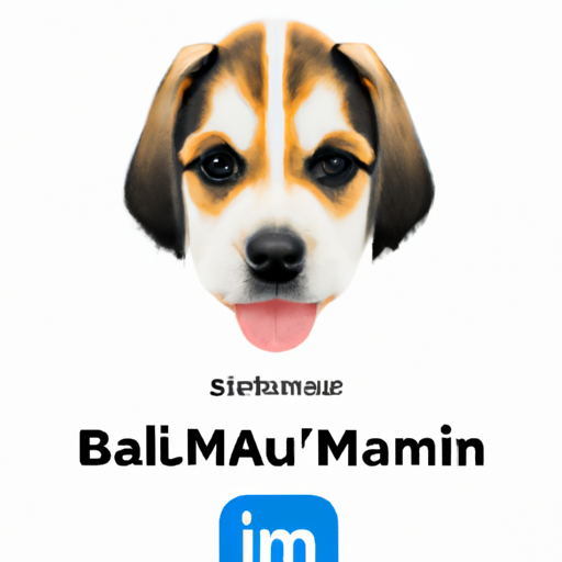 Bayside (balmain.lens) Lens social identity (.lens handle) PFP