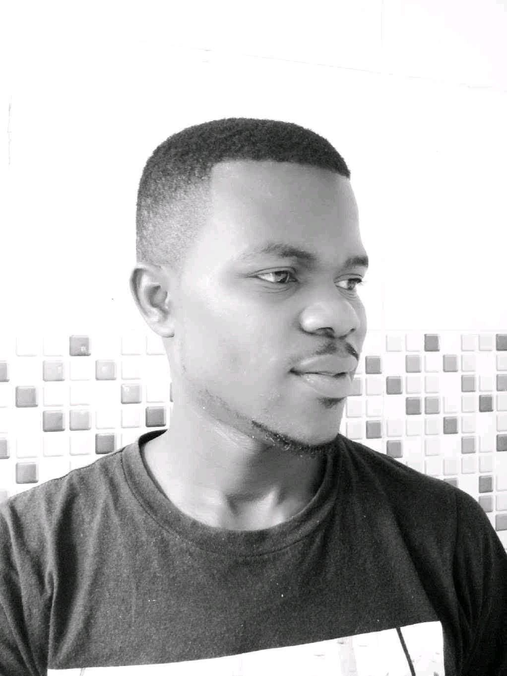 Felloh (felloh.lens) Lens social identity (.lens handle) PFP