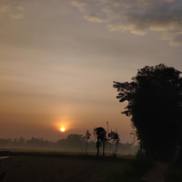 artconexión (artnet.lens) Lens social identity (.lens handle) PFP