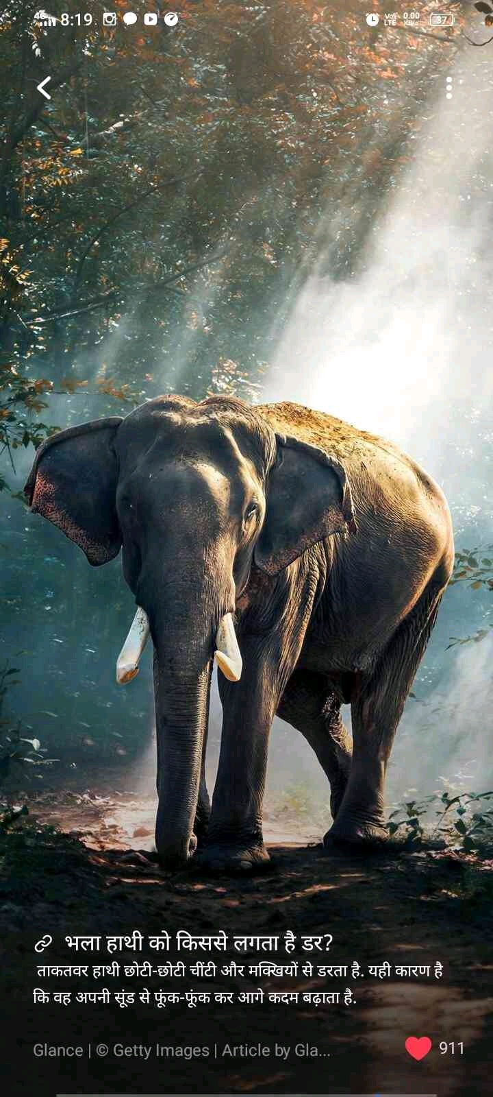 Mohammed Huzaifa p (1234564660.lens) Lens social identity (.lens handle) PFP