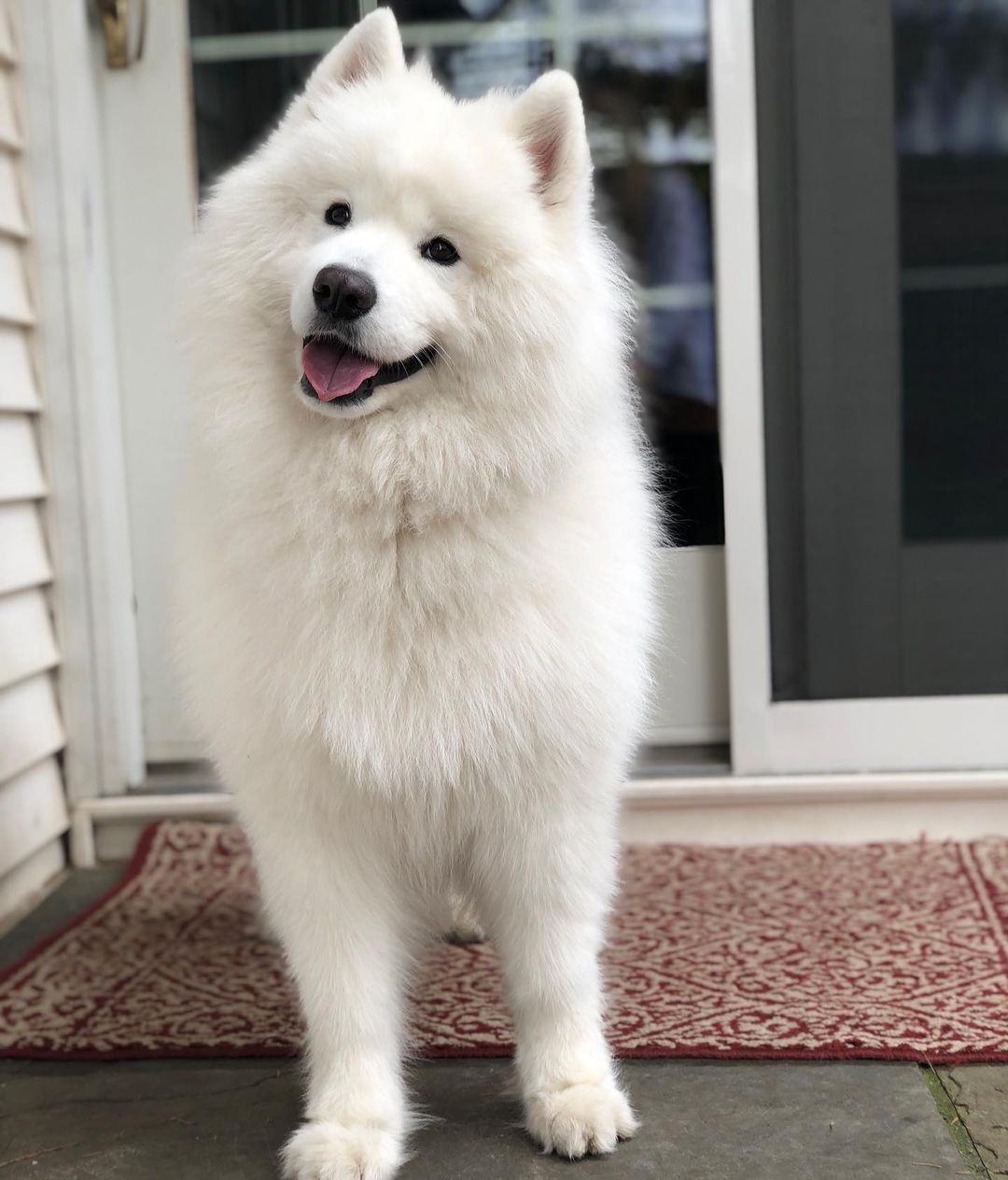 masque.lens Lens social identity (.lens handle) PFP